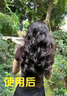 維特絲泡沫發(fā)蠟彈力素卷發(fā)持久定型護卷保濕蓬松摩絲男女士清香發(fā)膠泡泡 曬單實拍圖