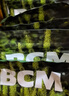 BCM頭茬烘干提摩西草 精選提草段兔草荷蘭豬龍貓牧草兔子草兔糧500g 曬單實(shí)拍圖