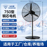 鉆石牌（DIAMOND）工業(yè)風(fēng)扇大風(fēng)力電風(fēng)扇強(qiáng)力落地式大風(fēng)量牛角扇大功率商用吹除甲醛工廠車間工地立式搖頭落地風(fēng)扇DY 【銅芯電機(jī)】750工業(yè)落地扇（30寸） 【好品質(zhì)/敢承諾】本店支持兩年換新 曬單實(shí)拍圖
