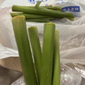 東北特產(chǎn)甜高粱嫩穗甜桿3斤北方小甘蔗甜蘆粟當季青皮甘蔗甜桿子R 1斤【帶箱嘗嘗鮮】 曬單實拍圖