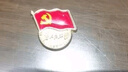 易利豐（elifo）磁吸黨徽強磁2025最新版黨員徽章黨徽胸章別針款胸針國家標準款加厚2cm雙面大磁扣蝴蝶鍍金不褪色 曬單實拍圖