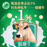 輝山（huishan）瑪瑞奶粉嬰幼兒牛奶粉娟姍奶源高乳鐵蛋白 2段 800g 1罐 （低于200/罐無禮品） 曬單實(shí)拍圖