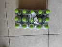 屈臣氏（Watsons）青提味電解質(zhì)蘇打水420ml*15瓶整箱0糖0卡0脂氣泡水無(wú)糖功能飲料 曬單實(shí)拍圖