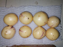 京鮮生 云南石林人參果 凈重3斤 單果50g+  生鮮水果源頭直發(fā)包郵 曬單實(shí)拍圖