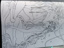 山海經(jīng)夢神引 古風(fēng)涂色線描集（繪客出品） 曬單實(shí)拍圖