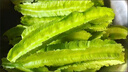 海南新鮮蔬菜四角豆三亞特產(chǎn)四棱豆順豐空運包郵現發(fā)龍豆孕婦菜 1斤順豐空運 曬單實(shí)拍圖
