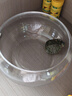 茨格曼玻璃魚缸圓形辦公桌魚缸一體缸迷你小魚缸烏龜玻璃鋼小型金魚缸* 玻璃缸大號(hào)【肚徑25*高12*口徑19cm】 曬單實(shí)拍圖