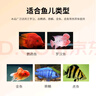 仟湖OF血鸚鵡魚飼料增艷增紅增色凸頭熱帶魚專用魚食魚糧迷你招財(cái)魚食 增艷紅二代中粒1200克 曬單實(shí)拍圖