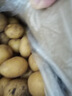河南25年新鮮黃皮黃心土豆現挖現發(fā)生鮮馬鈴薯洋芋軟糯香甜特產(chǎn) 5.2斤 （凈重） 大果 曬單實(shí)拍圖