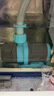 創(chuàng)寧變頻潛水泵 CN-9500-25W 10檔流量調(diào)節(jié) 魚缸假山噴泉池循環(huán)抽水 曬單實(shí)拍圖