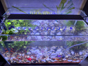 全光譜led魚缸燈缸燈水族箱魚缸照明燈架LED水草燈 12瓦藍(lán)白光48cm（適合50-60cm魚缸） 四排燈珠 曬單實(shí)拍圖