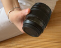 松下（Panasonic）Lumix G100D M43畫(huà)幅相機(jī) M43卡口 微單相機(jī) 無(wú)反數(shù)碼相機(jī) G100D+【12-60mm白盒】單鏡套裝 曬單實(shí)拍圖