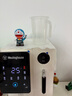 西屋（Westinghouse）冰塊飲水機臺式家用制冰機即熱免安裝飲水機富鍶礦泉機 桌面辦公室飲水器 冰塊加熱冰水礦化四合一 匹茲堡 即熱制冷型 WFH40-G3 曬單實拍圖
