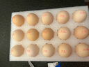 黃天鵝可生食雞蛋 30枚L級(jí)大蛋/3.6斤禮盒裝 生鮮雞蛋京東自營(yíng) 無(wú)抗生素 曬單實(shí)拍圖