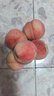 采緹（CAITI）現貨現摘河北春雪水蜜桃大果5斤當季新鮮桃子脆甜孕婦水果整箱 精選2斤裝 大果 曬單實(shí)拍圖