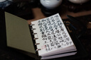 此時(shí)此地 TIME AND PLACE此時(shí)此地 TIME AND PLACE梔子軟毛筆中式小楷書寫描紅練字繪畫軟抄軟頭筆軟筆毛筆抄經(jīng)筆 梔子毛筆+墨水 纖維 小楷 曬單實(shí)拍圖