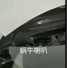 海拉 鳴笛蝸牛喇叭 適用豐田雷凌凱美瑞卡羅拉威馳榮放RAV4漢蘭達(dá) 雷凌【一對(duì) 高低音】 雙喇叭 無 曬單實(shí)拍圖