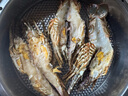 哆鮮生 海捕青龍蝦 鮮活冷凍國產(chǎn)小青龍大花龍蝦海鮮送禮生鮮蝦類(lèi) 大號 3只裝 凈重700-800g 曬單實(shí)拍圖
