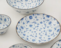 美濃燒（Mino Yaki）日本進口唐草碗盤套裝陶瓷碗餐具精美釉下彩餐盤面碗組合6件套 曬單實拍圖