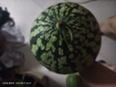 正宗黑籽麒麟西瓜應(yīng)季新鮮水果新鮮現(xiàn)摘沙瓤薄皮麒麟瓜 麒麟西瓜 5-7斤 1枚裝 曬單實拍圖