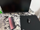 探顯家宏夏24.5英寸240Hz280hz電競(jìng)顯示器300hz FastTN游戲顯示屏BFI+黑科技電腦顯示器AK268Pro 新一代TN面板AK240-Pro黑色標(biāo)準(zhǔn)310hz 曬單實(shí)拍圖