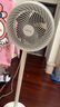 華凌美的【小暴風(fēng)】白天鵝空氣循環(huán)扇 家用電風(fēng)扇大風(fēng)量搖頭輕音臥室臺(tái)式落地扇節(jié)能空調(diào)扇WH-FGA2001 曬單實(shí)拍圖