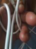 適用華為小米OPPOvivo適用充電器超級快充線type-c數(shù)據(jù)線充電 （1米【普通】數(shù)據(jù)線1條. 曬單實拍圖
