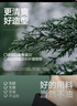 理然蓬松水發(fā)膠頭發(fā)蓬松定型噴霧發(fā)泥干發(fā)噴霧造型大容量2瓶 曬單實拍圖