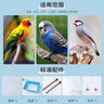 喜帥 外掛平頂鳥籠鸚鵡籠 虎皮牡丹中小型鳥籠畫眉窩防濺鳥籠顏色隨機 曬單實拍圖