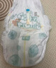 幫寶適【夏天超薄透氣】清新幫透氧Pro嬰兒拉拉褲3XL48片 尿不濕 曬單實拍圖