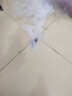 揚(yáng)長滅蚊片蚊香片煙熏片商用滅蚊藥劑家用驅(qū)蚊煙霧殺蚊子管用環(huán)保蚊香 10盒100片 曬單實拍圖