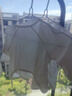 童泰（TONGTAI）嬰兒和服半背衣夏季純棉衣服初生寶寶和尚服提花米白52cm 曬單實拍圖