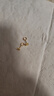 Lossot足金蝴蝶結(jié)黃金耳釘女5D硬金耳環(huán)耳飾送女朋友老婆生日禮物 曬單實拍圖