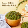京東京造大粒有機(jī)綠豆 1.3kg大粒4.0mm可發(fā)芽可打豆?jié){無鐵豆易煮糯出沙 曬單實拍圖