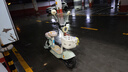 臺鈴電動自行車【國家補貼】小錦鯉50公里長續(xù)航電動車鉛酸電池48V13Ah電瓶車新國標碧波綠 曬單實拍圖