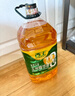 西王 食用油 玉米胚芽油6.18L 零反式脂肪 非轉基因 含維生素E 曬單實拍圖