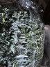 槿饈羽衣甘藍(lán)250g-500g 新鮮嫩葉kale健身減榨汁西餐食材脂蔬菜沙拉 500g 曬單實拍圖