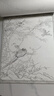 【新華正版】中國(guó)畫(huà)白描入門描摹本國(guó)畫(huà)工筆國(guó)風(fēng)工筆畫(huà)白描底稿線描臨摹畫(huà)冊(cè)底稿線稿描紅基礎(chǔ)書(shū)初學(xué)水墨畫(huà)冊(cè)毛筆繪畫(huà)練習(xí)教材 【2冊(cè)】花卉篇+動(dòng)物篇 曬單實(shí)拍圖