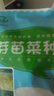 壽禾 黃豆芽苗菜種子種苗豆苗水培蔬菜種籽 濰育黃豆種子300g/袋 *2袋 曬單實(shí)拍圖
