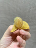 優(yōu)味集【順豐JD速發(fā)】廣東雞心黃皮果新鮮水果整串帶枝孕婦酸甜鮮果整箱 商超級金果 500g凈重裝（鮮采帶枝）-順豐 曬單實(shí)拍圖