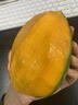 南步四川攀枝花凱特芒果【順豐速發(fā)】青皮芒特大澳芒果新鮮水果整箱 5斤 精品大果【單果8兩+】 曬單實(shí)拍圖
