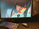 ENDGAME GEAR OP1w4K輕量化電競(jìng)游戲鼠標(biāo)    適用于吃雞 CSGO APEX 守望先鋒 OP1w4K V2黑透 曬單實(shí)拍圖