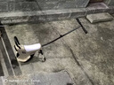 松鼠寶貝親子獨(dú)輪車遛娃神器輕便手推車玩具車兒童獨(dú)輪車便攜手推車 卡其色 12寸+打氣筒 曬單實(shí)拍圖