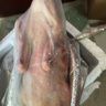 柒島大鵝生鮮整只鵝肉大白鵝老鵝新鮮農(nóng)家散養(yǎng)土鵝烤鵝煲湯紅燒批發(fā) 大鵝殺后凈重5-6斤【甄選品質(zhì)】 曬單實拍圖