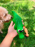 HELLOJOY狗狗玩具耐咬磨牙幼犬狗狗毛絨發(fā)聲自嗨解悶神器中小型犬寵物用品 曬單實(shí)拍圖