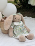 SOFT LIFE兔子玩偶毛絨玩具公仔安撫娃娃睡覺(jué)抱可愛(ài)生日禮物送女孩 小兔子春芽陪伴玩偶 【俏皮可愛(ài) 站高約40cm 【收藏加購享優(yōu)先發(fā) 曬單實(shí)拍圖