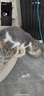 猛瑪（MOMA）LARK M2直播麥克風無線領(lǐng)夾麥克風主播專用猛犸一拖二降噪話筒mini紐扣式收音麥 Type-C版一拖二 曬單實拍圖