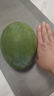 京鮮生 攀枝花凱特芒 凈重8.5斤 帶箱9斤 單果600g+ 生鮮水果 源頭直發(fā) 曬單實(shí)拍圖