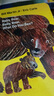 英文原版繪本Baby Bear小熊 Baby Bear, Baby Bear, What Do You See? 小熊，小熊，你看到了什么？低幼早教啟蒙紙板書(shū)Eric Carle卡爾爺爺 廖彩杏書(shū)單送 曬單實(shí)拍圖