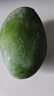京鮮生 攀枝花凱特芒 凈重8.5斤 帶箱9斤 單果600g+ 生鮮水果 源頭直發(fā) 曬單實拍圖
